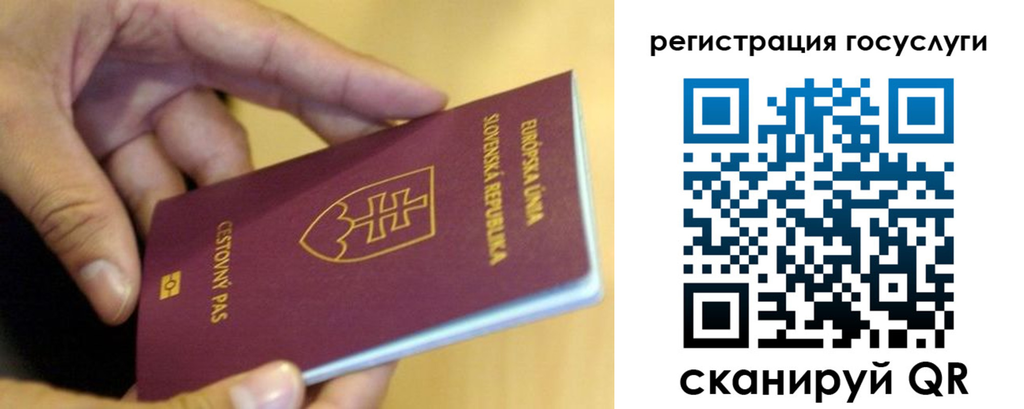 временная регистрация недорого в Красногорске